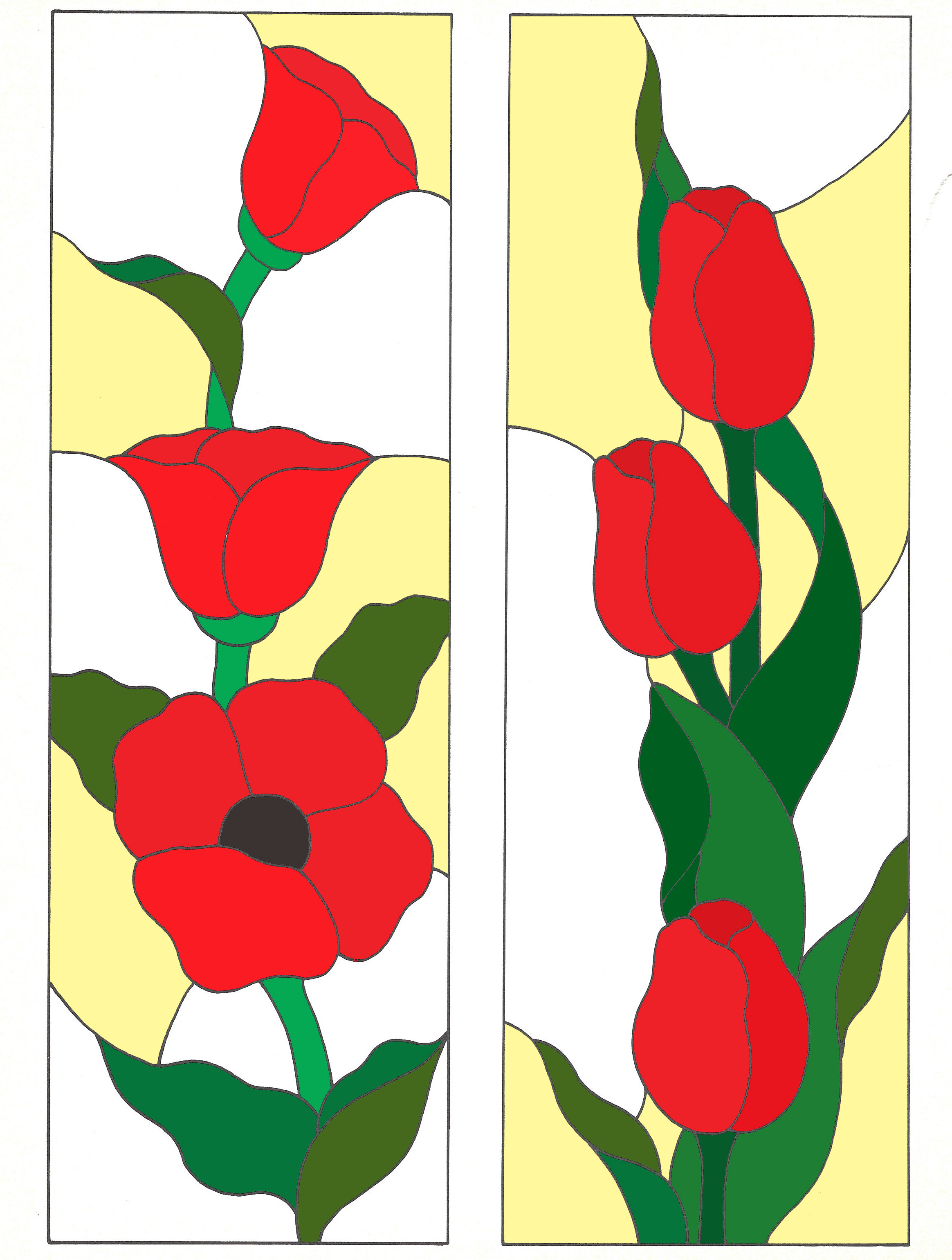 poppy flowers and tulips