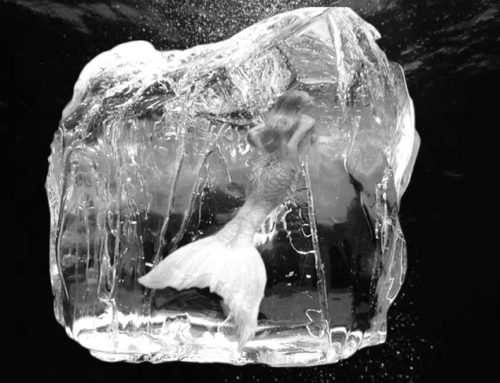 Website Art Mermaid in Ice