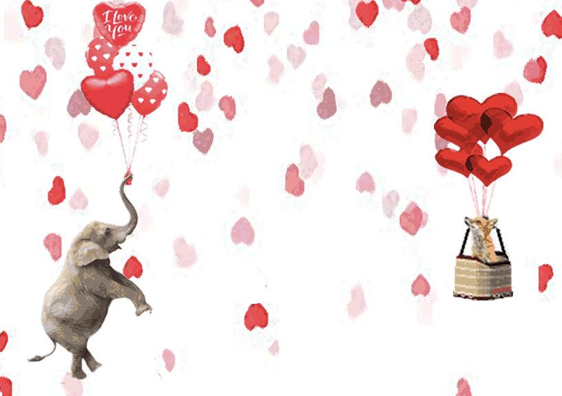 Valentines gif fox and elephant with heart ballots